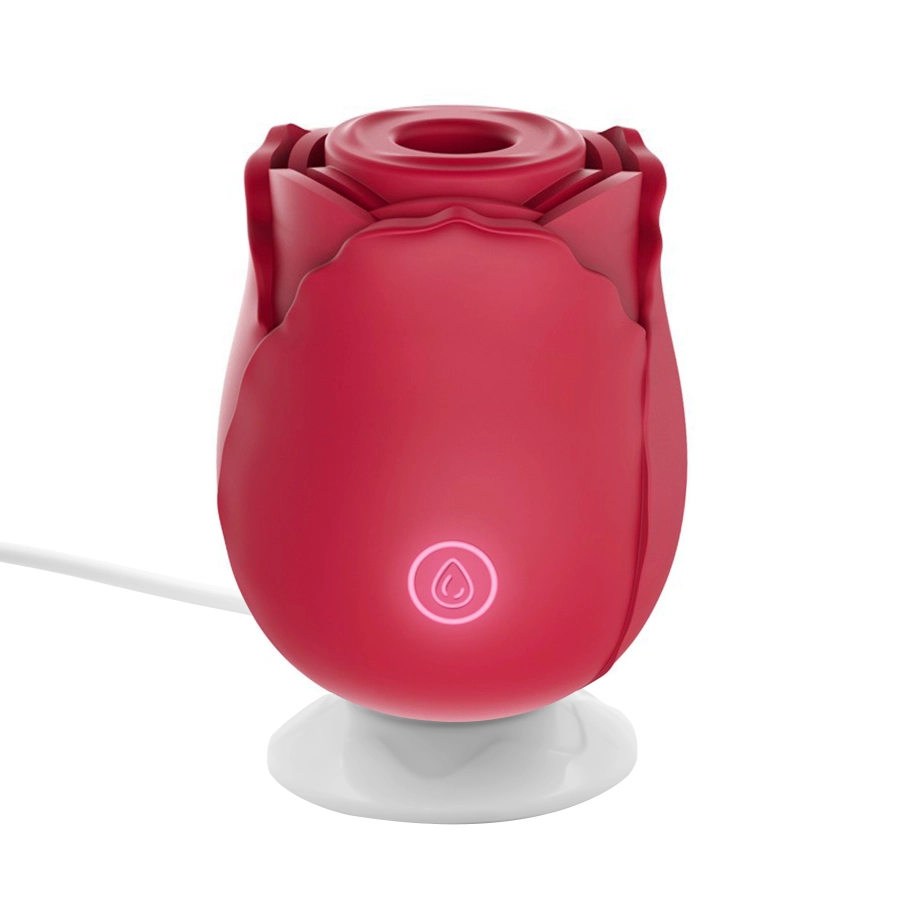 Rosina – Stimulateur Clitoridien, Sextoy Femme Clitoris USB