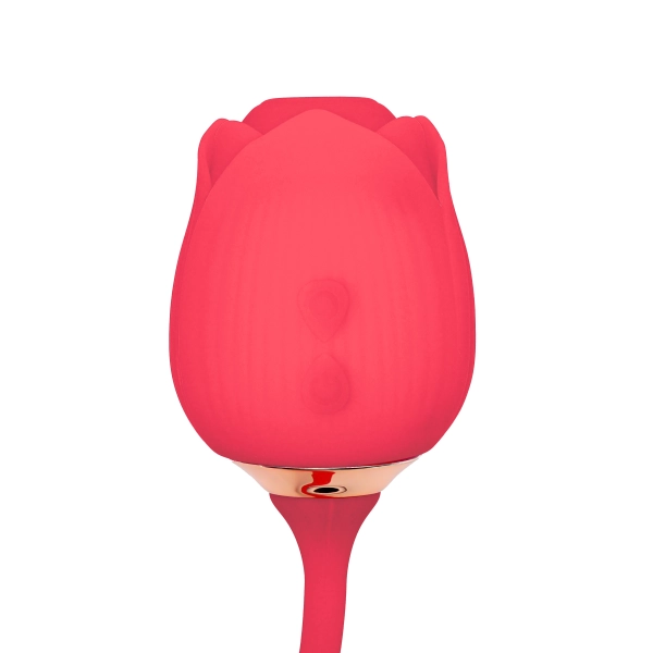 Gaïa – Stimulateur 2-en-1, Succion clitoris & Œuf Vibrant 2