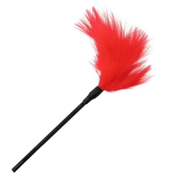 Kit BDSM Débutant Cuir 10 Pièces, Initiation Avancée Sécurité