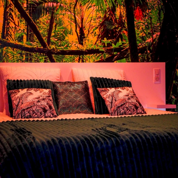 TIJUGO - La Meilleure Love Room de Clermont Ferrand