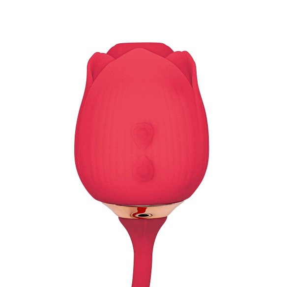 Gaïa – Stimulateur 2-en-1, Succion clitoris & Œuf Vibrant